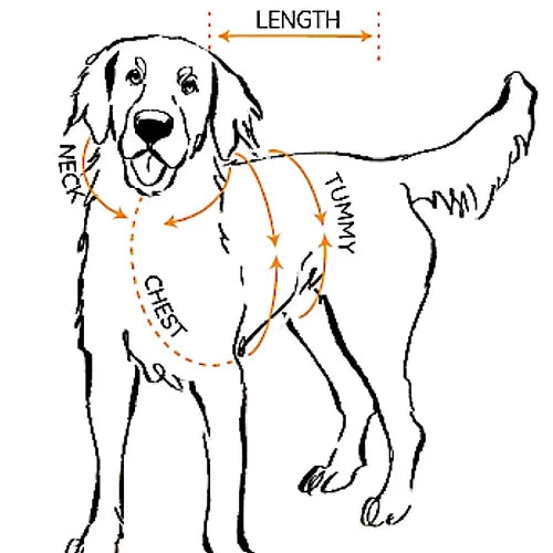 Neve Trackie Top by Red & Ginger-8