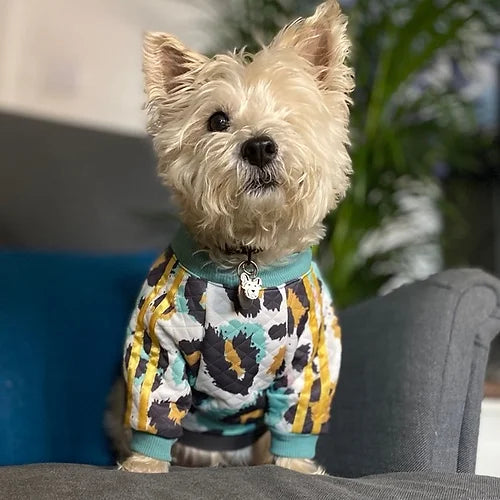 Neve Trackie Top by Red & Ginger-0