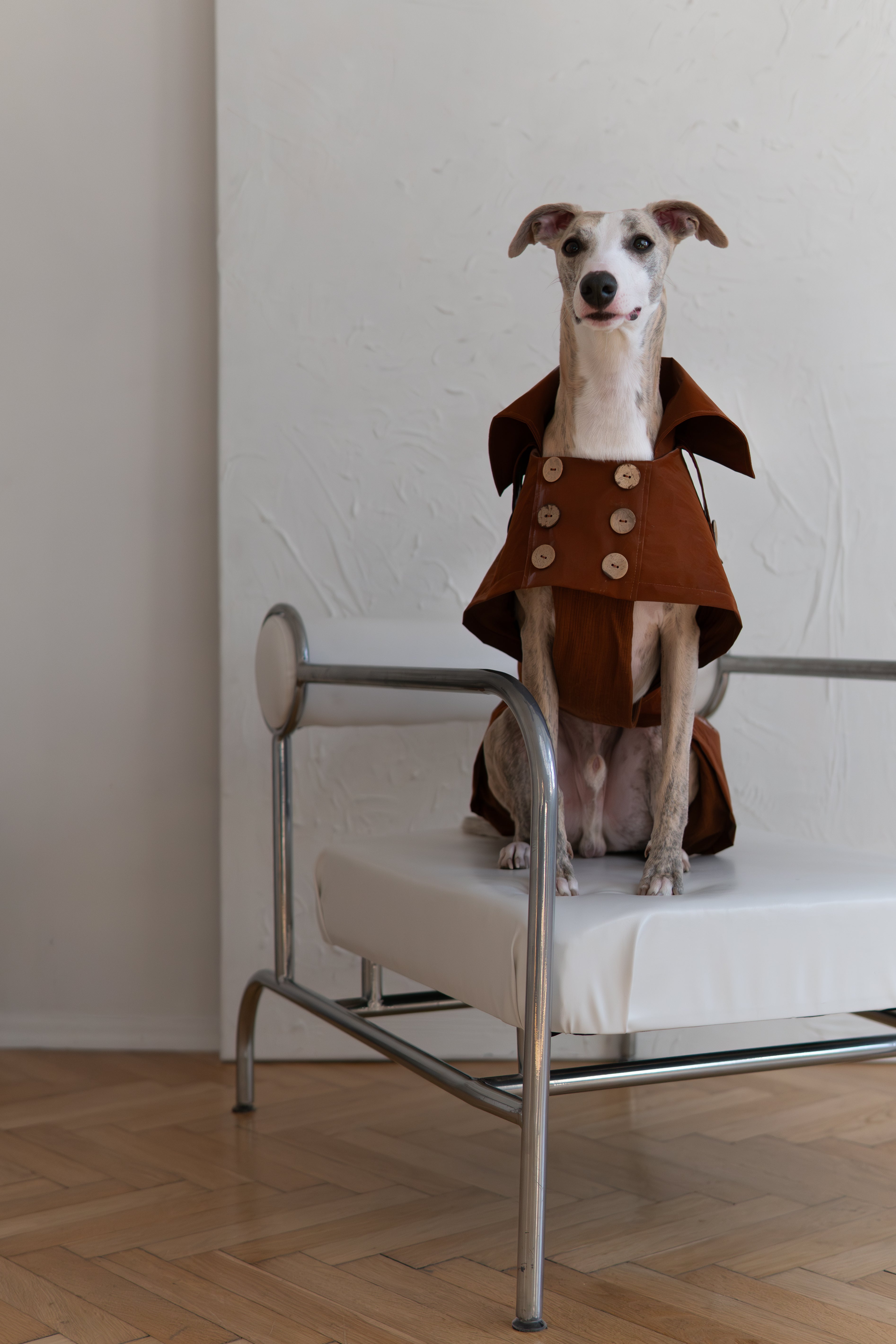 Water-repellent Dog Trench Coat - Chocolate Brown-1