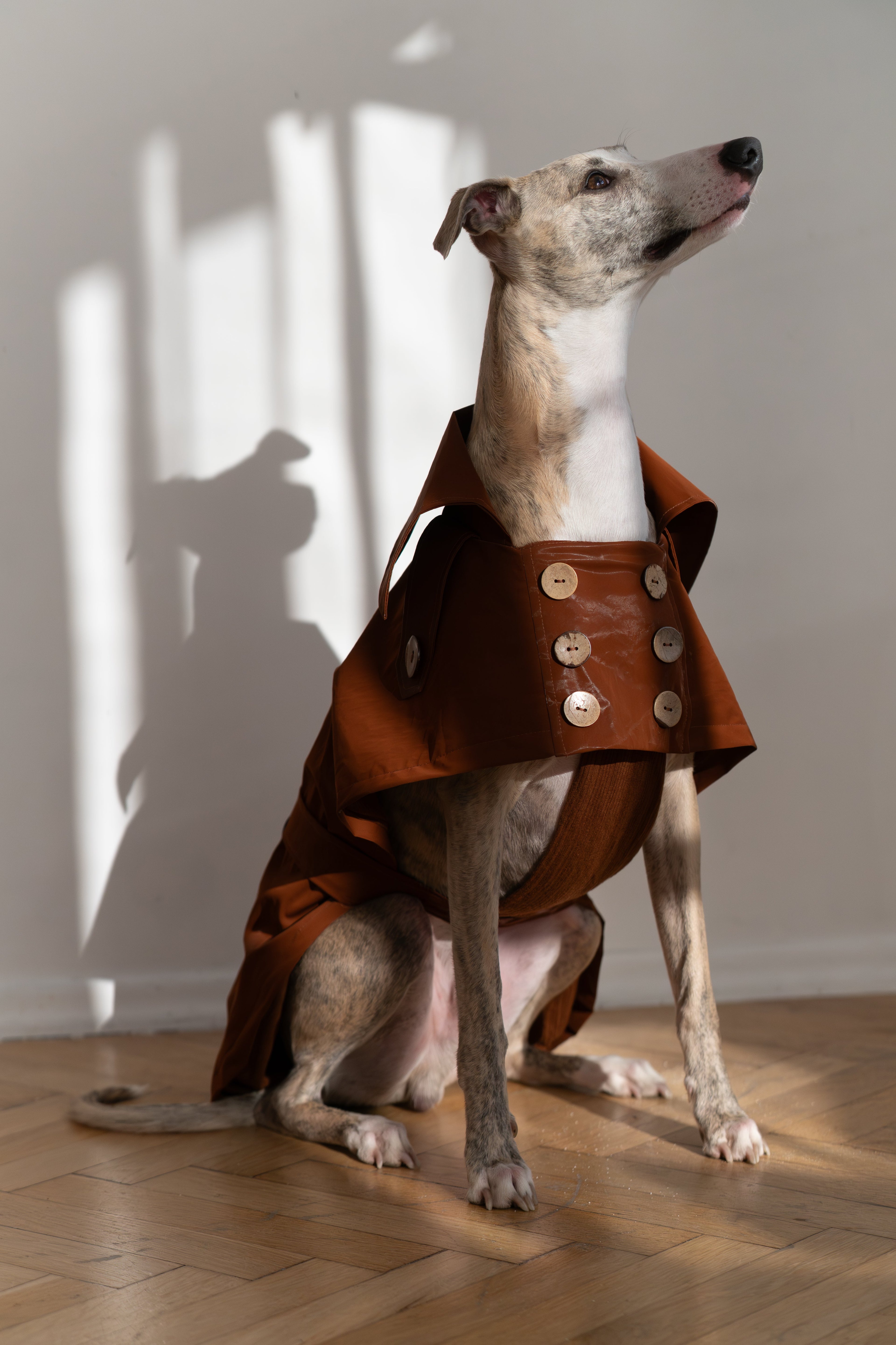 Water-repellent Dog Trench Coat - Chocolate Brown-0